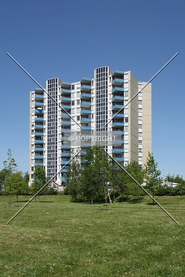 View from the south