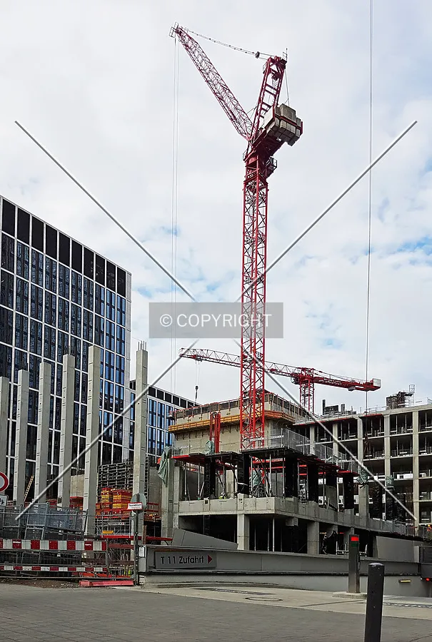 Photo 746-210-874