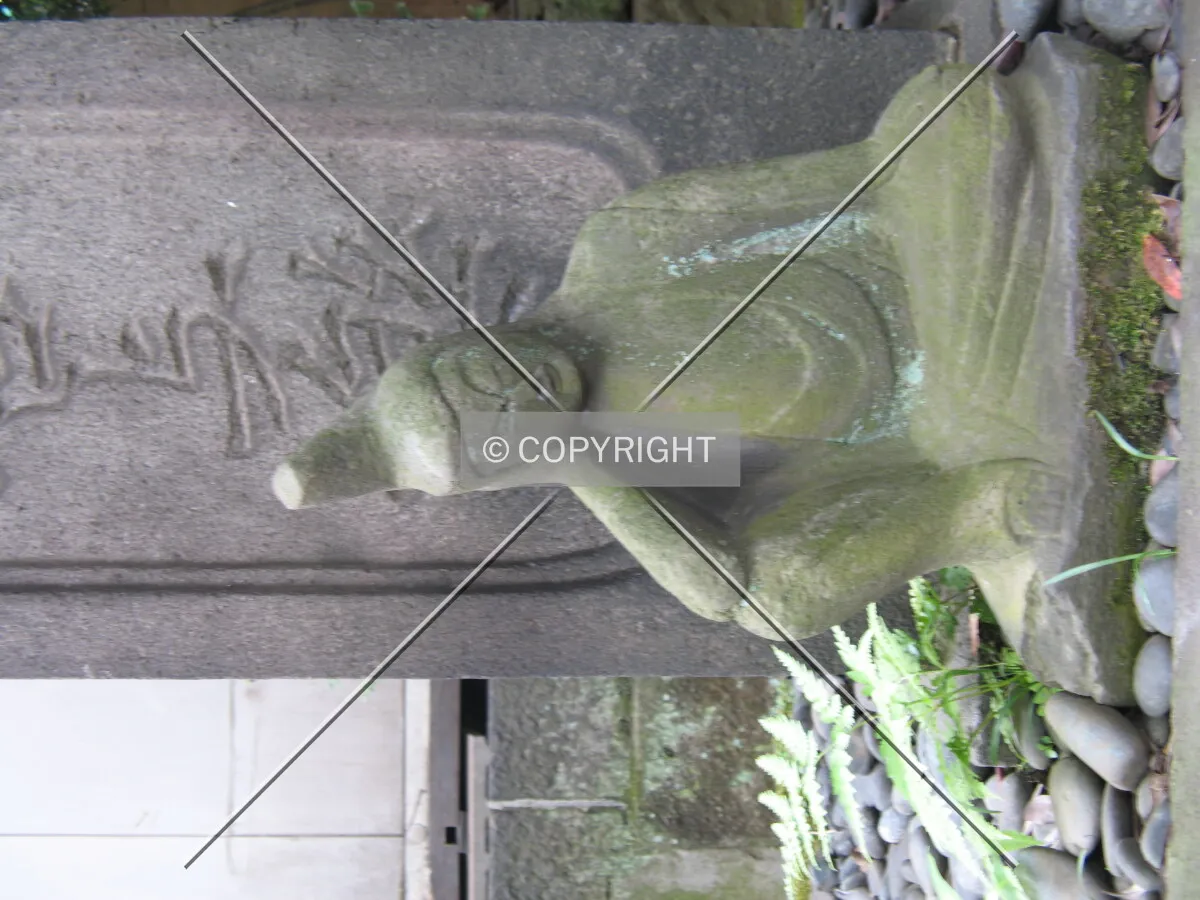 Photo 746-229-347