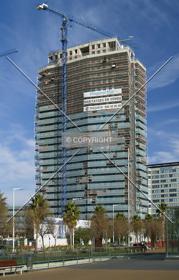 View from the south