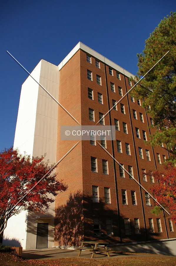 Photo 746-770-667