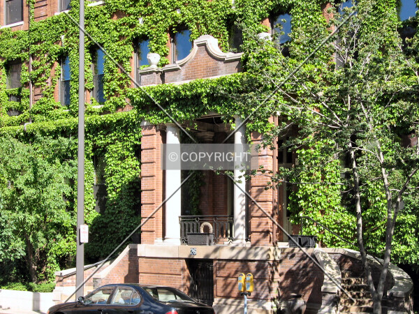 Ivy-covered entrance area