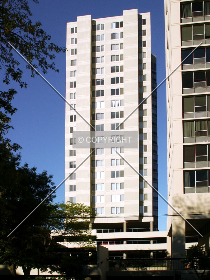 Back side from Cornell Avenue