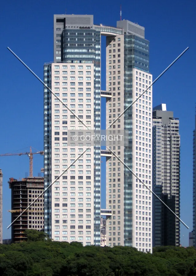 View from the ecological reservation Costanera Sur