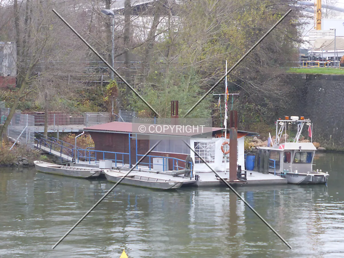 Photo 747-497-685