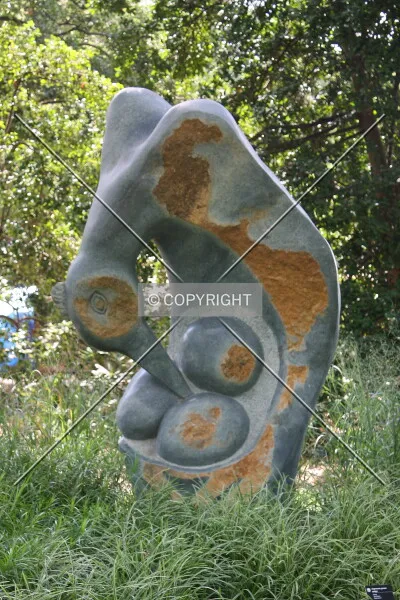 Photo 747-921-507