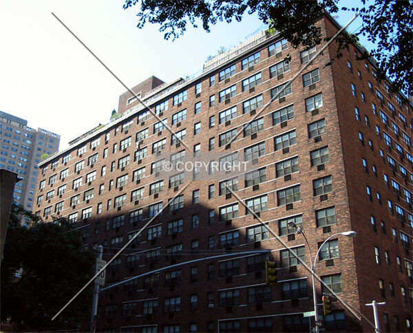 View from the east