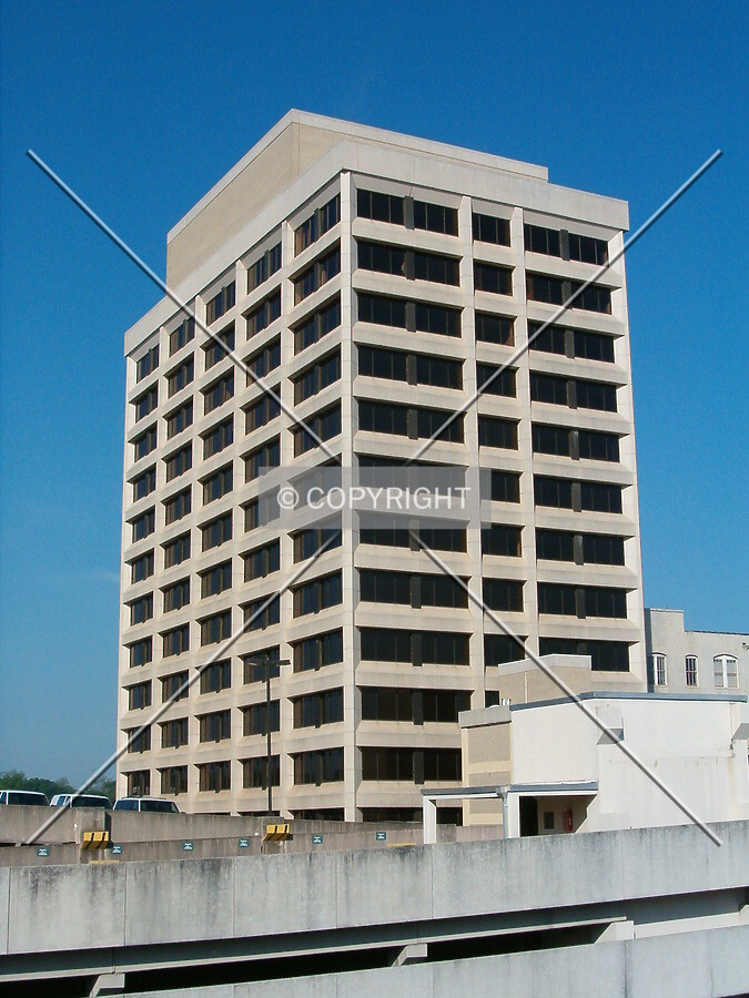 View from the east