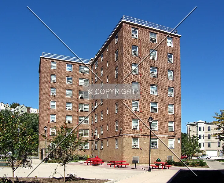 Photo 749-609-898