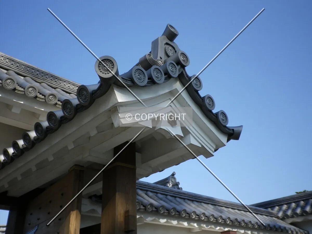 Photo 749-942-728