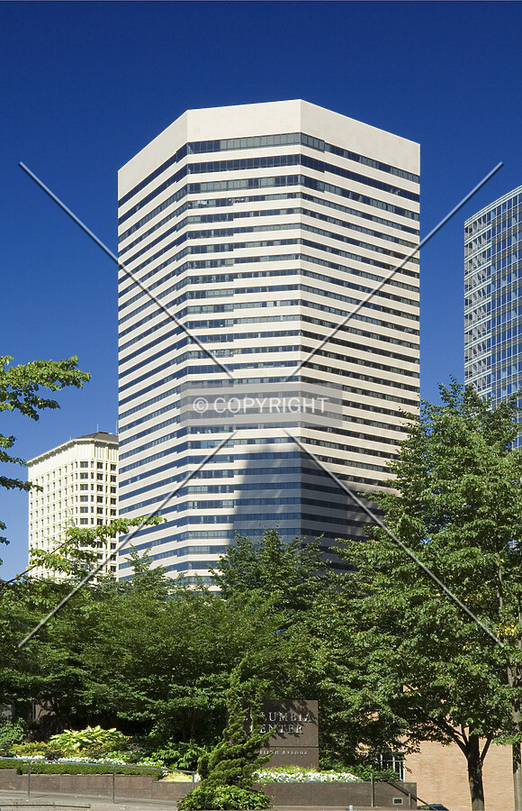 View from the south