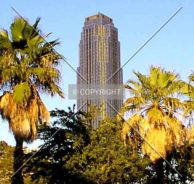 Photo 075-009-317