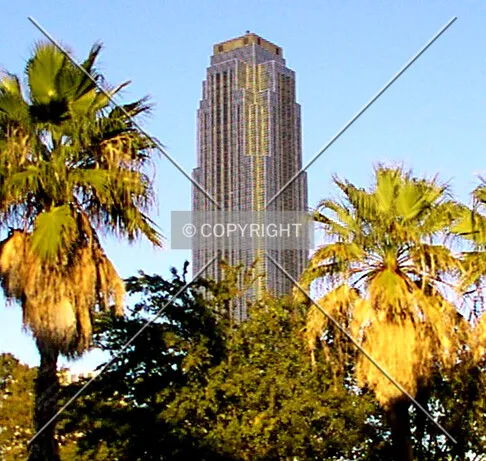 Top of the tower between palm trees