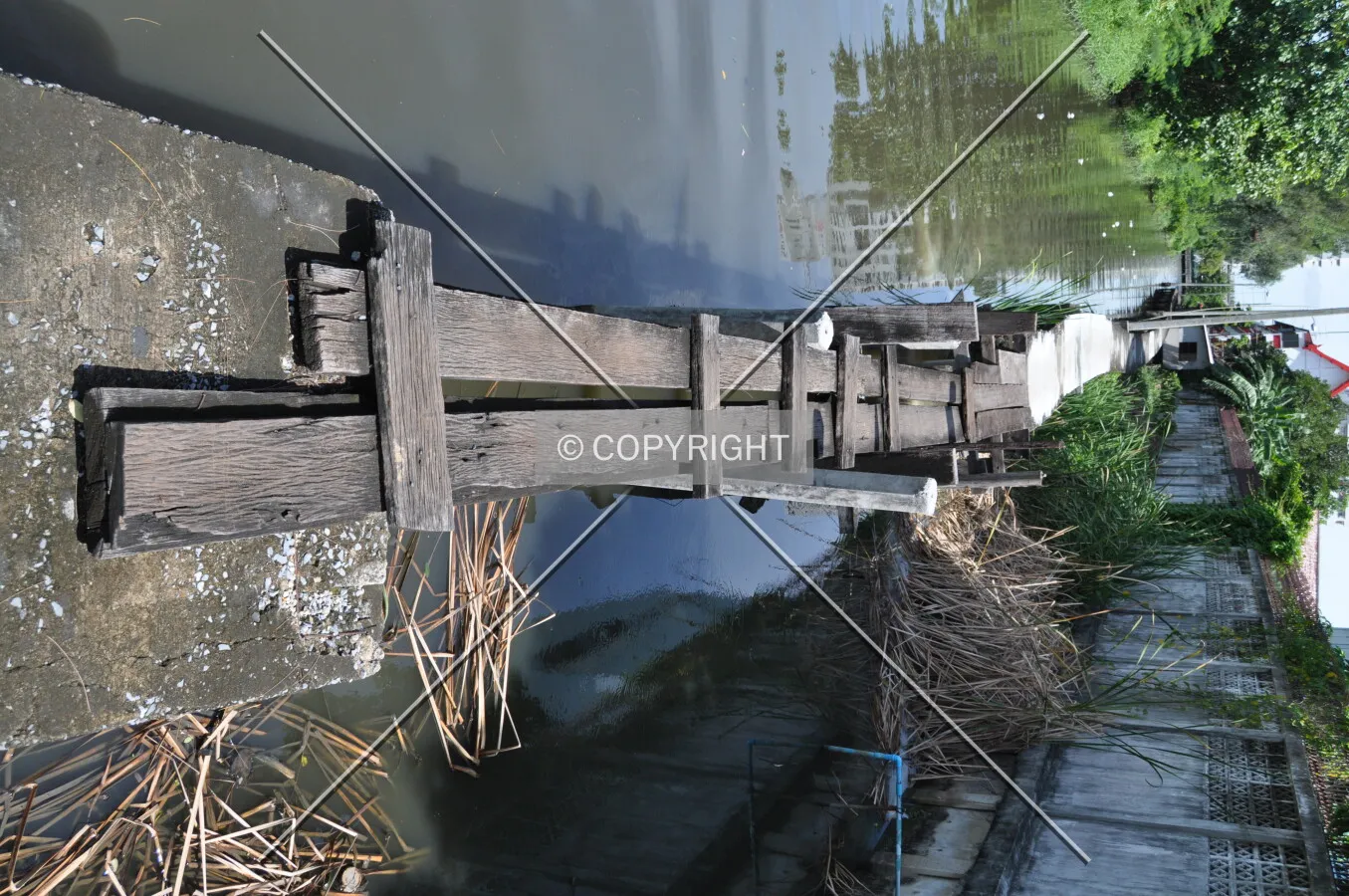 Photo 750-106-677