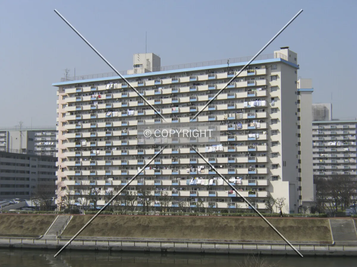 View from the east