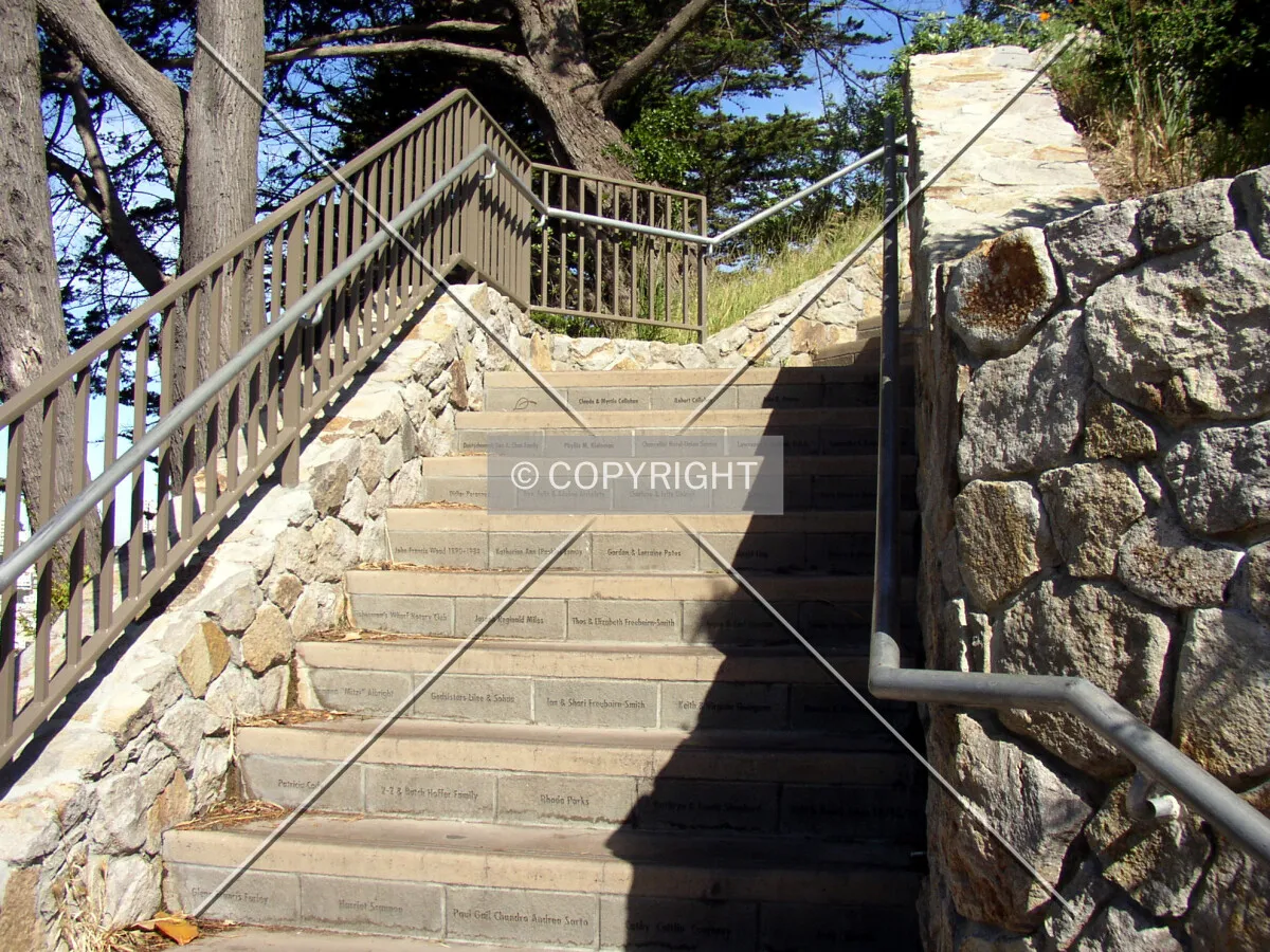 Stairs leading to the tower from Telegraph Hill Boulevard