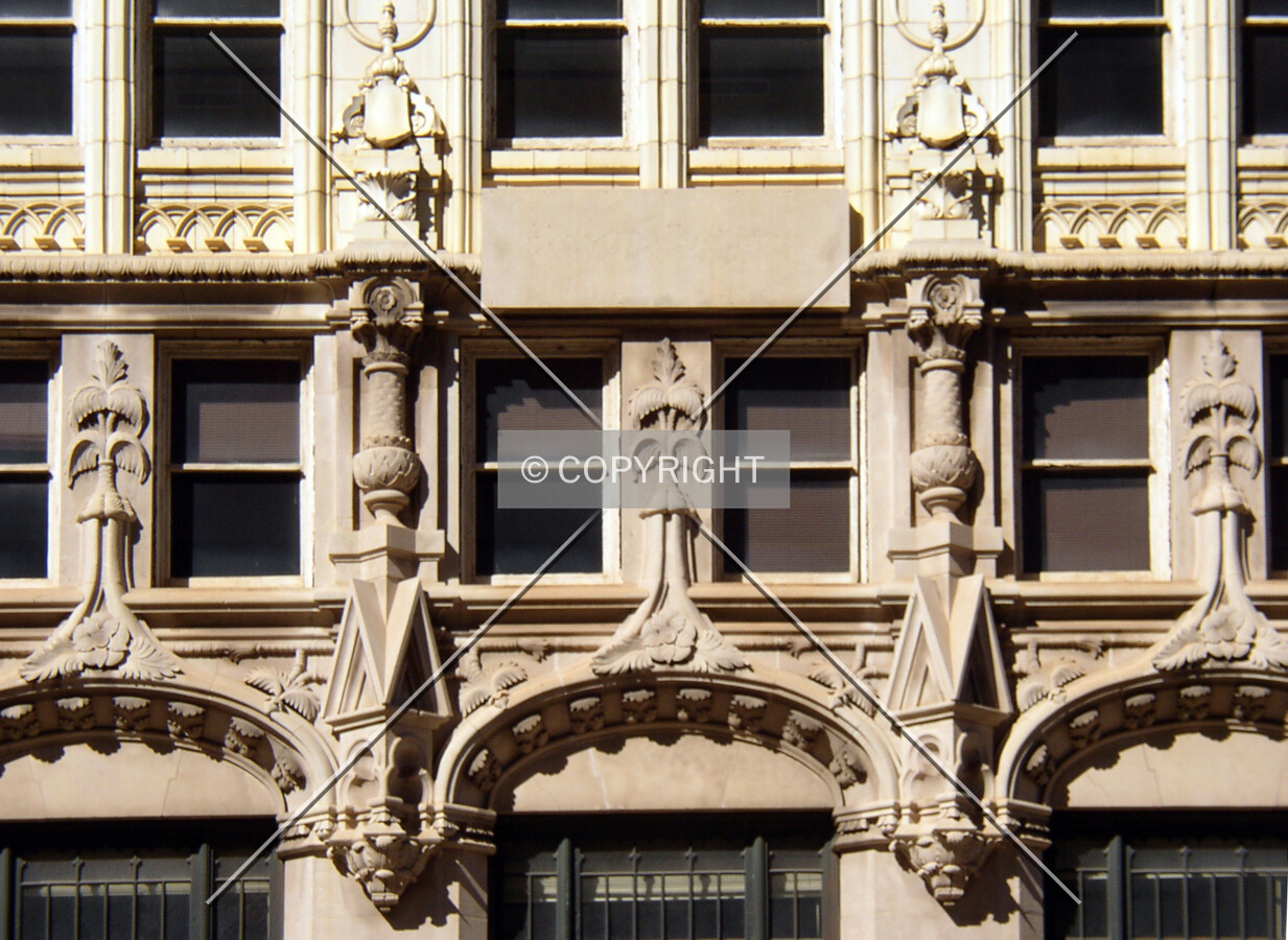 Detail of the southern facade complete with Palmetto Trees