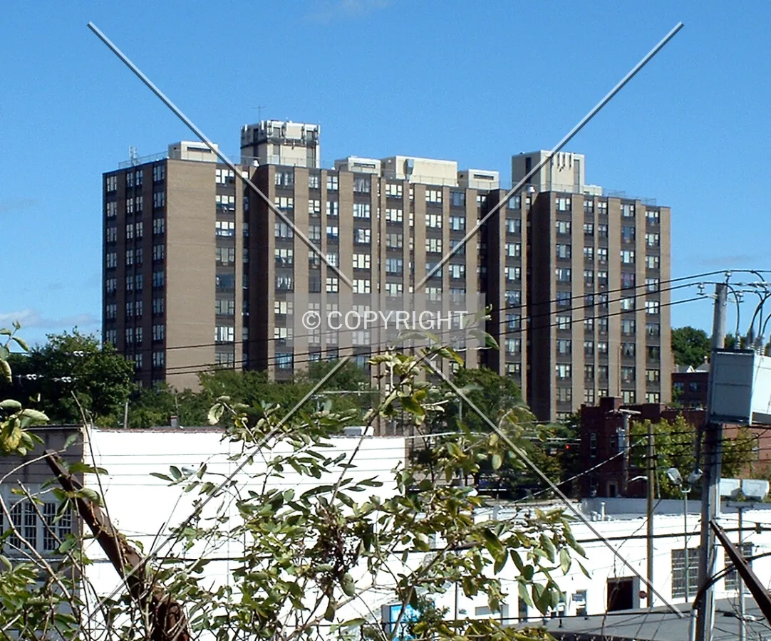 View from the northwest