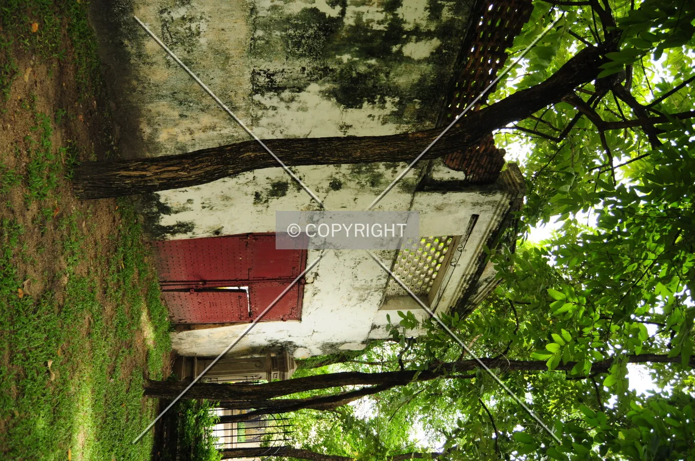 Photo 751-132-584