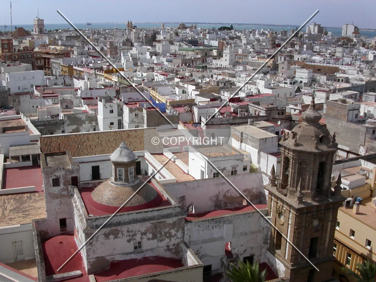 Looking north from the cathedral's tower