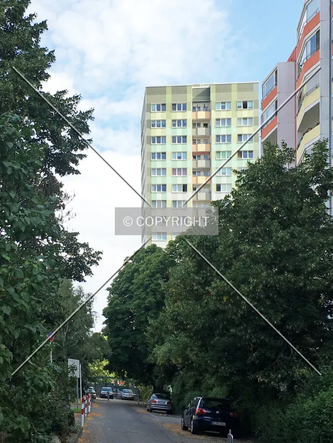 Photo 751-779-748