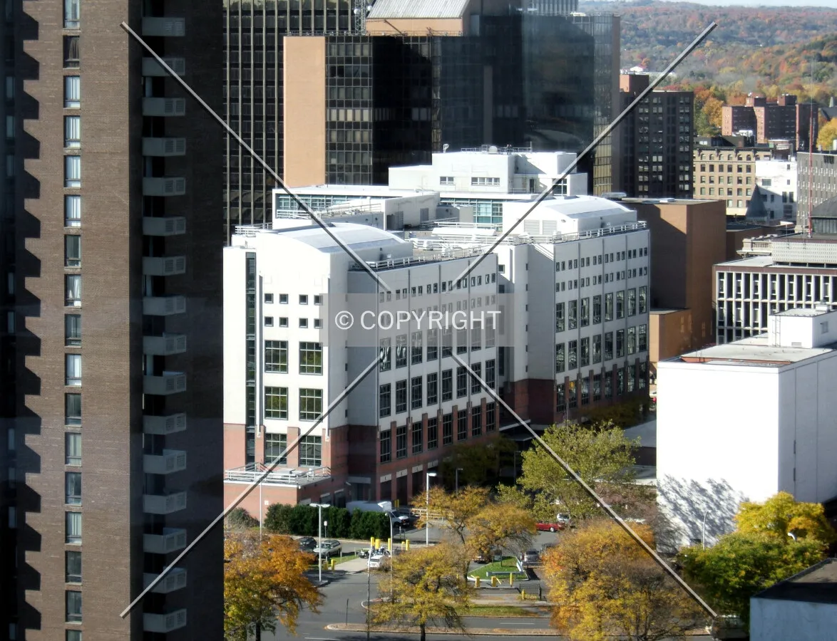 View from the northeast