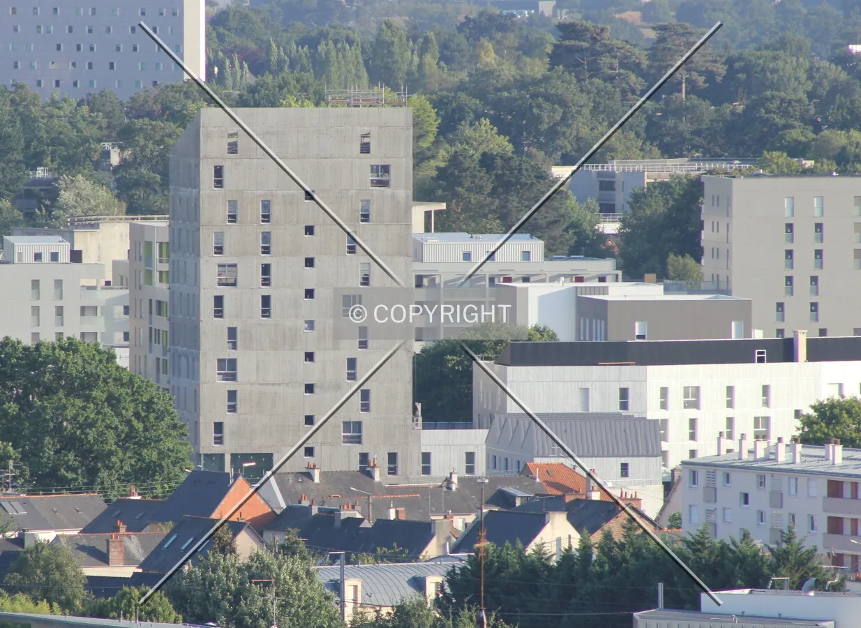 Photo 752-173-784