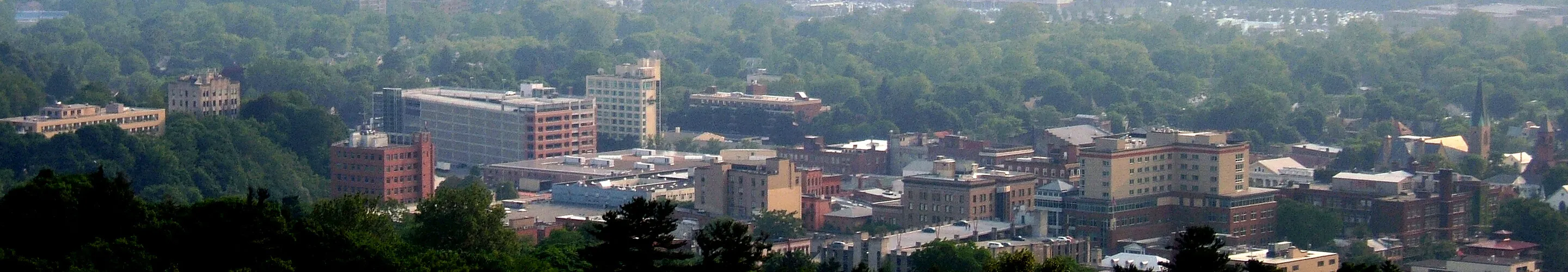 Downtown from the northeast