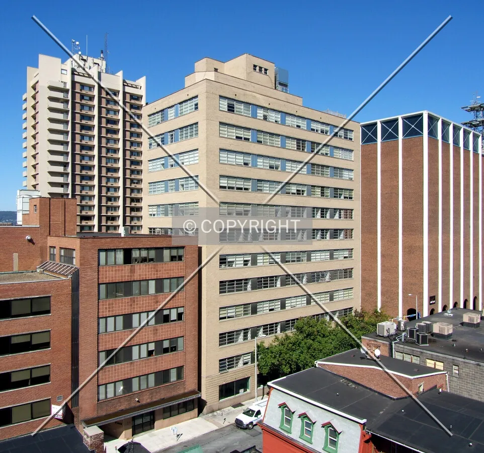 View from the south