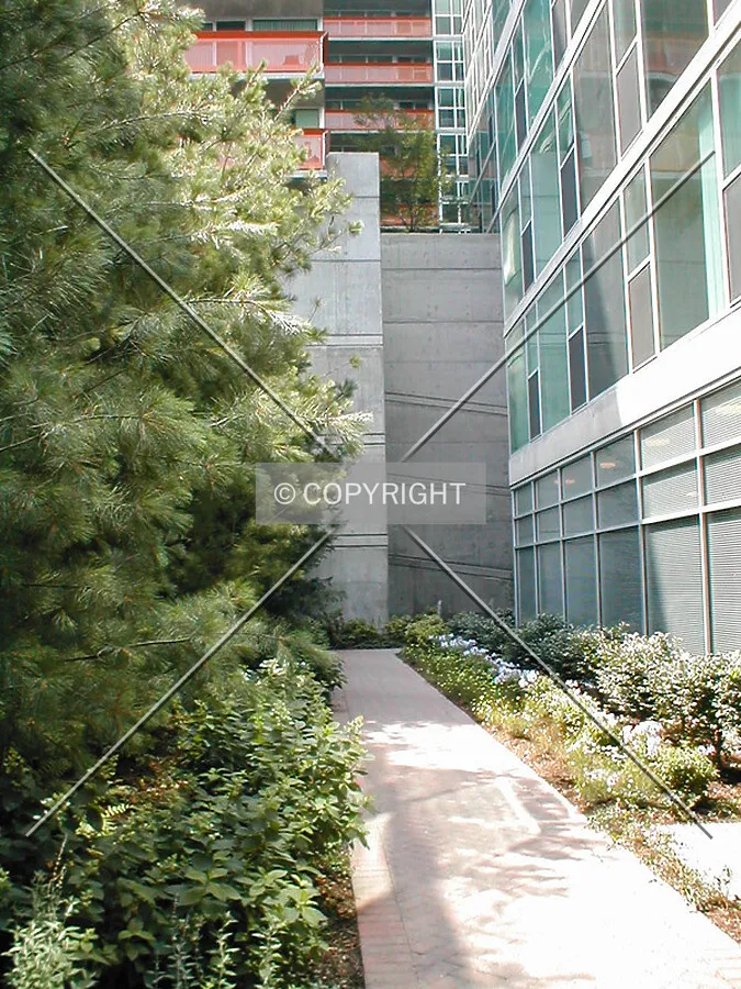 Entryway with garden