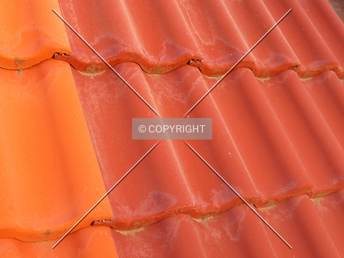 Photo 753-371-543