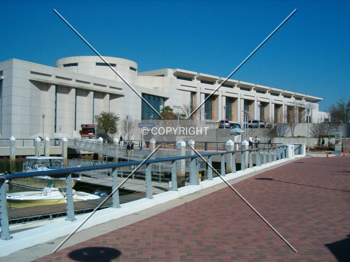 View from the Savannah River looking northeast