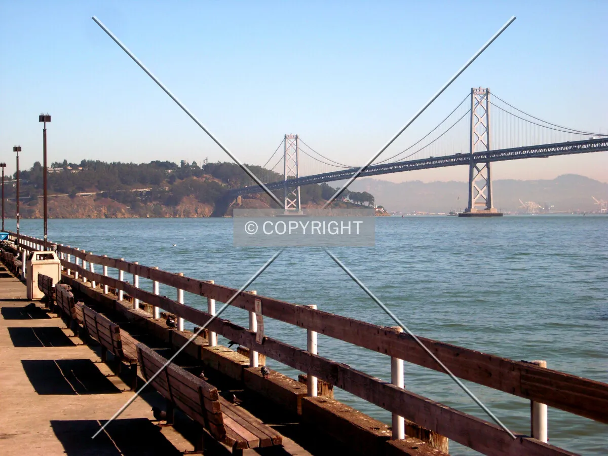 Photo 753-705-049