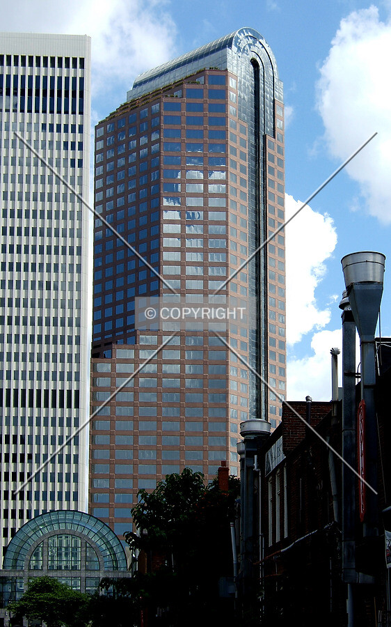 View from the northwest near Brevard Court