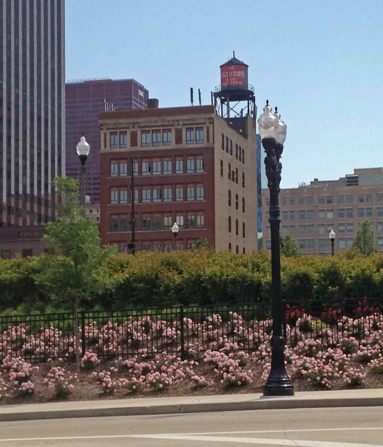 Photo 075-417-831