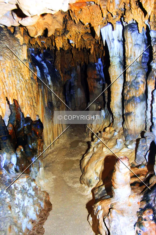 Florida Caverns State Park, 3345 Caverns Rd, Marianna, Florida, U.S.A.