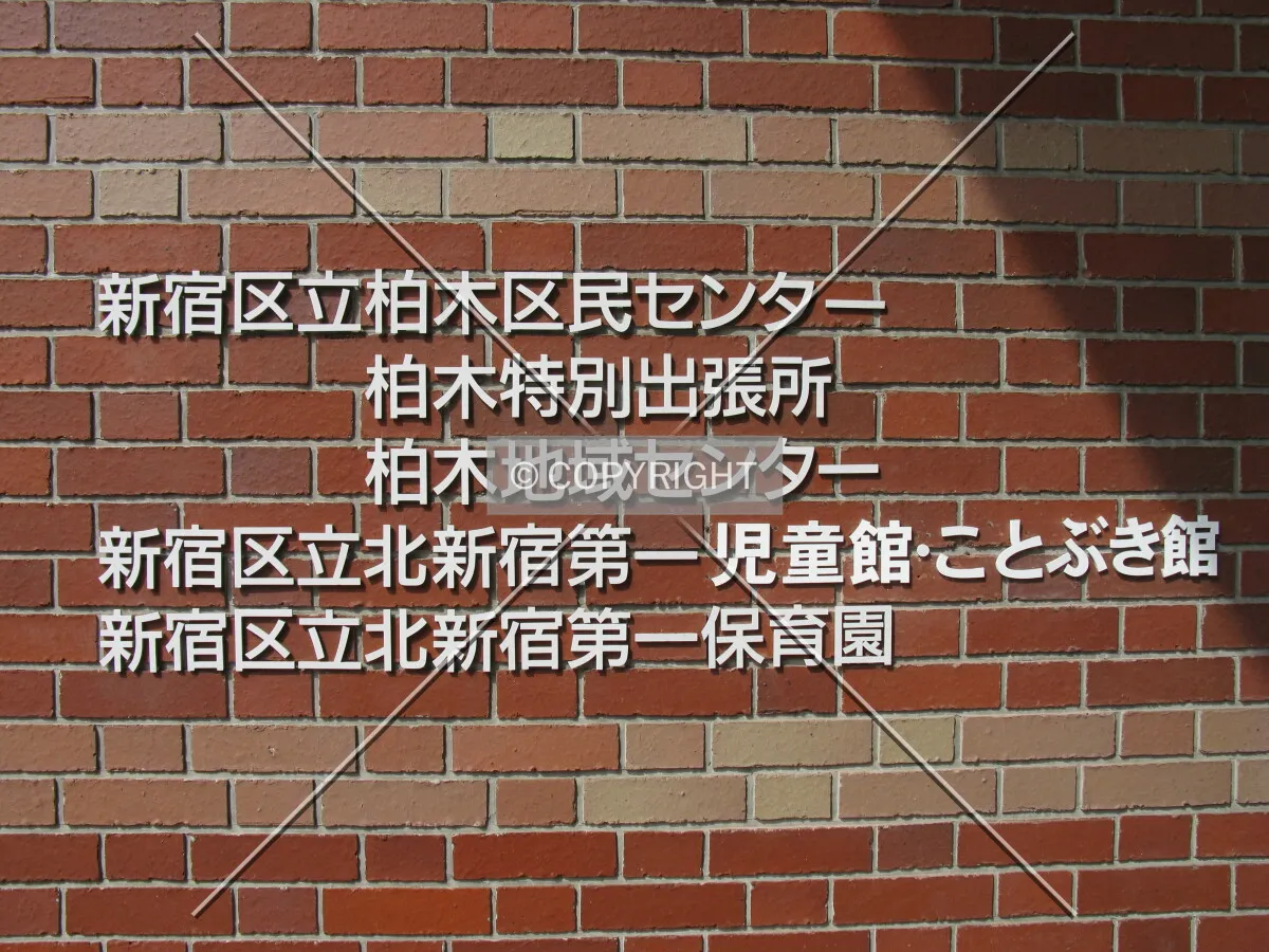 Photo 754-251-352