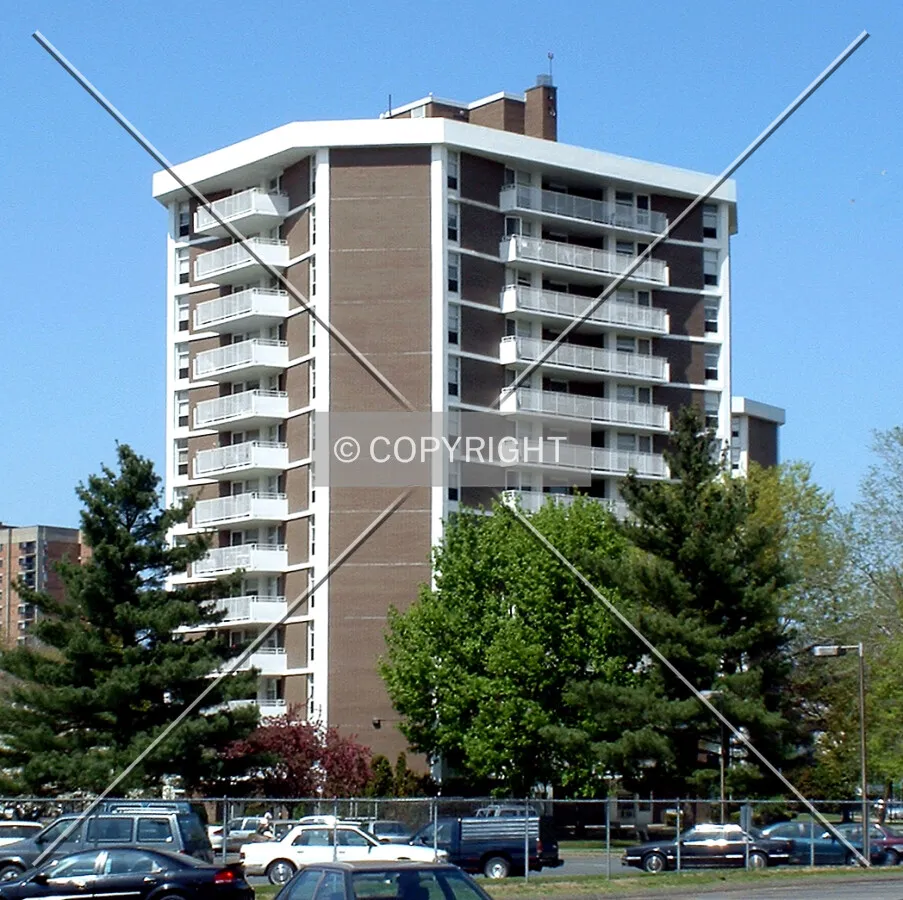 View from the south