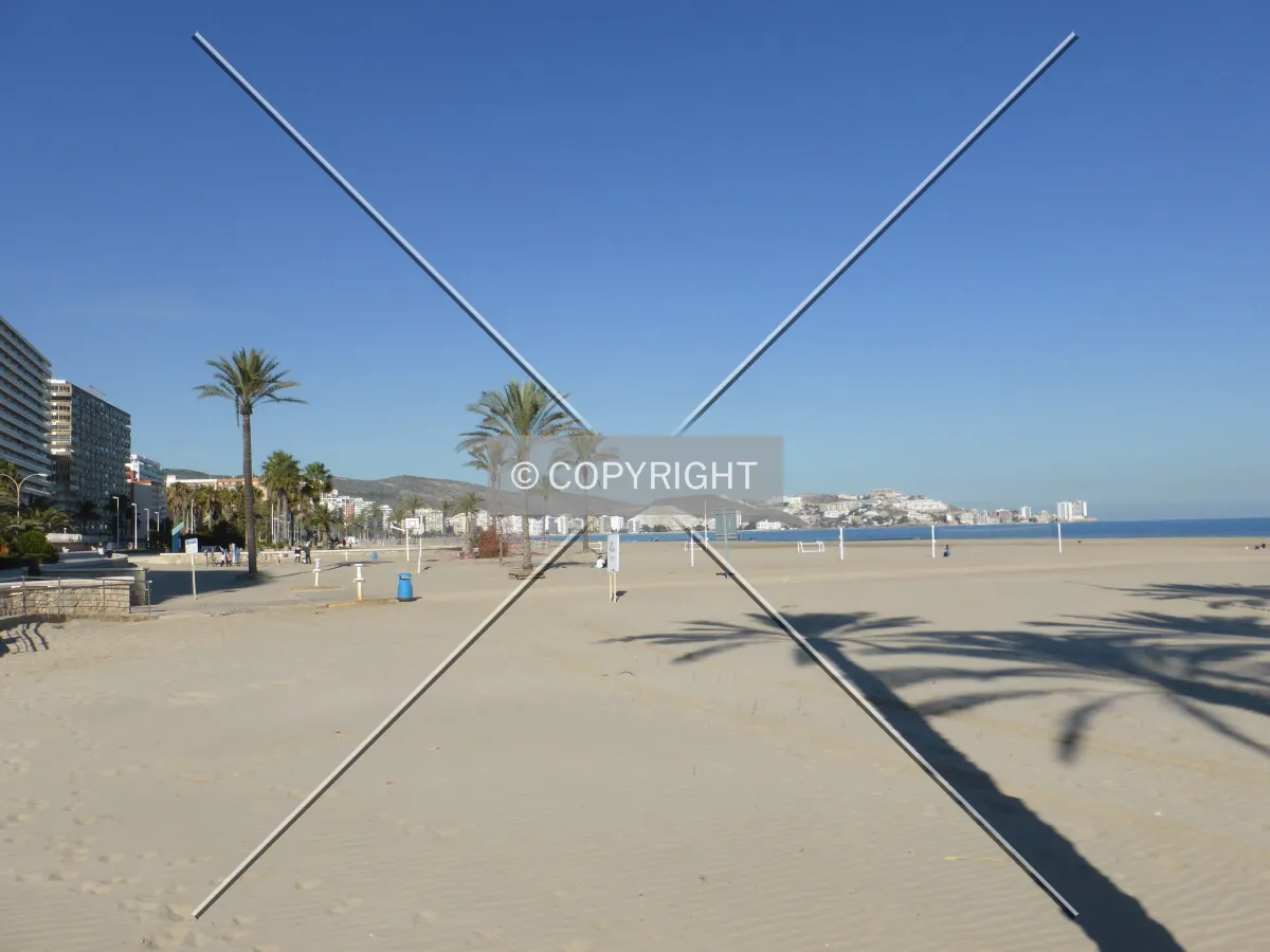 Photo 754-649-973