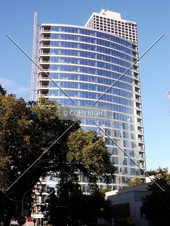 View from the south