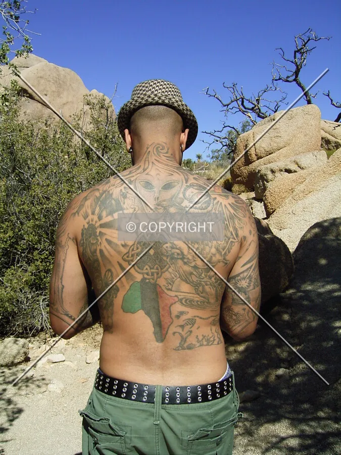 a tattoed back
