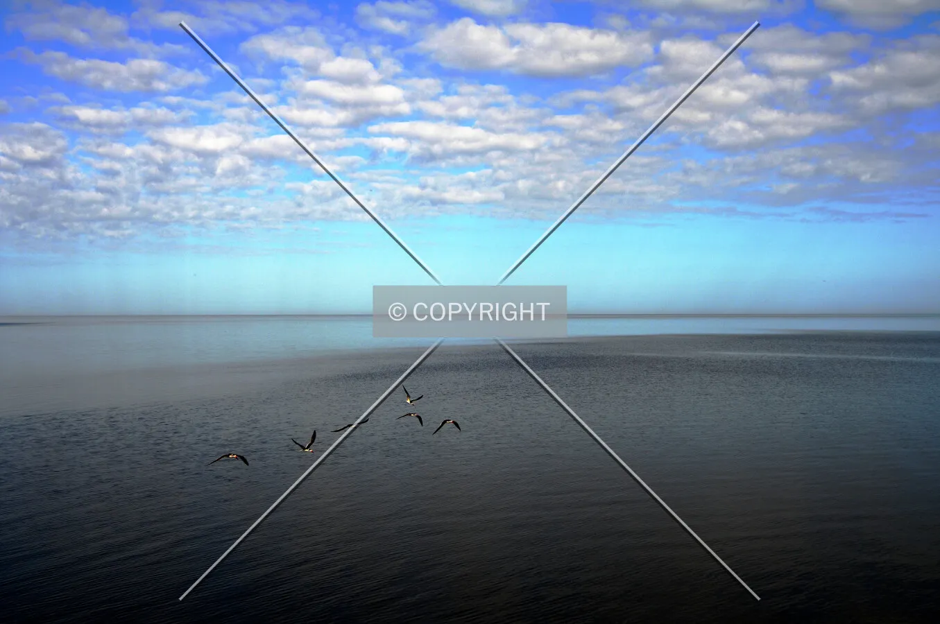 Lake Okeechobee, Pahokee, Florida, U.S.A.