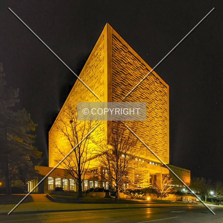Night view, Sunday, March 29, 2020