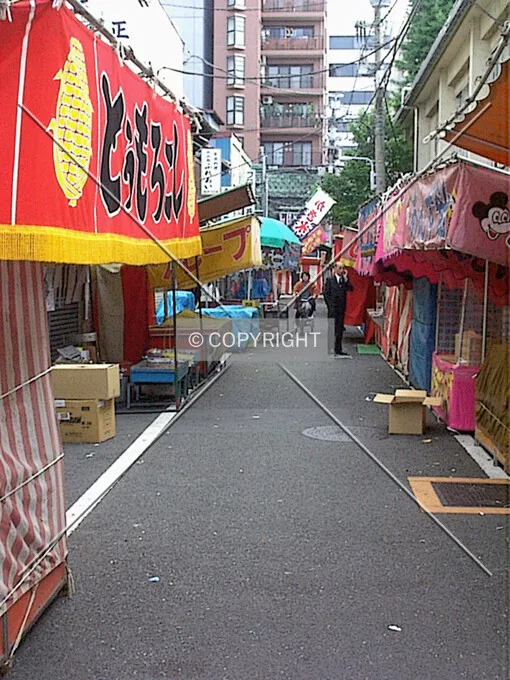 Photo 755-960-487