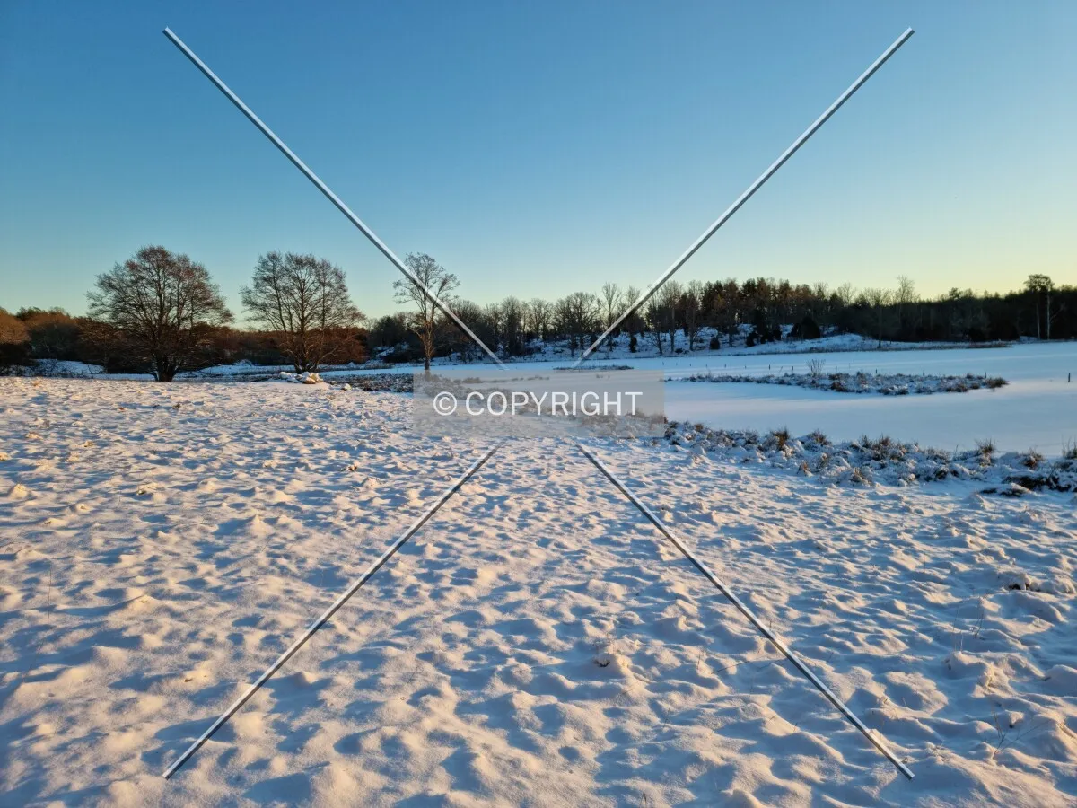 Photo 756-157-384