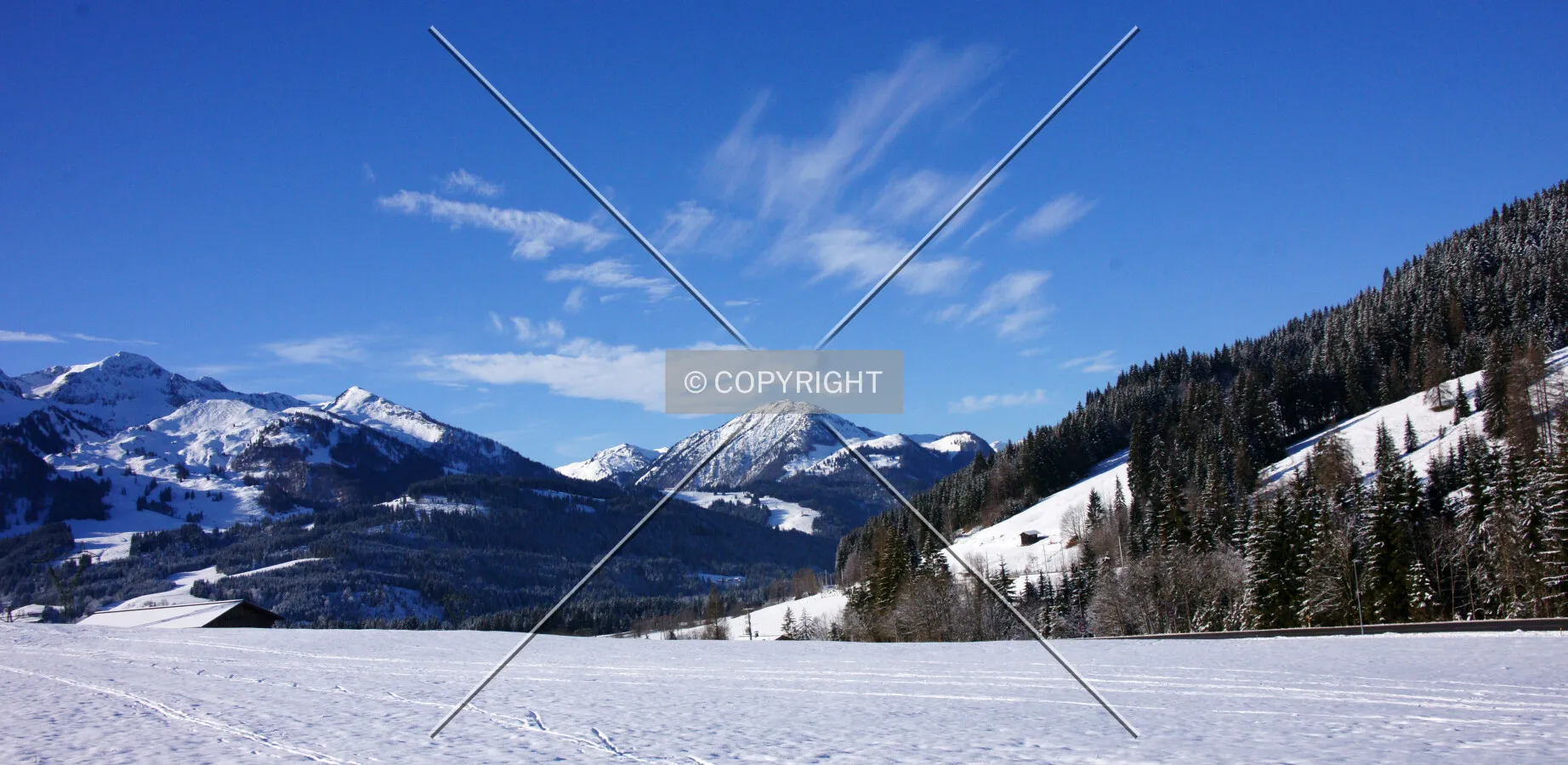 Photo 756-221-998