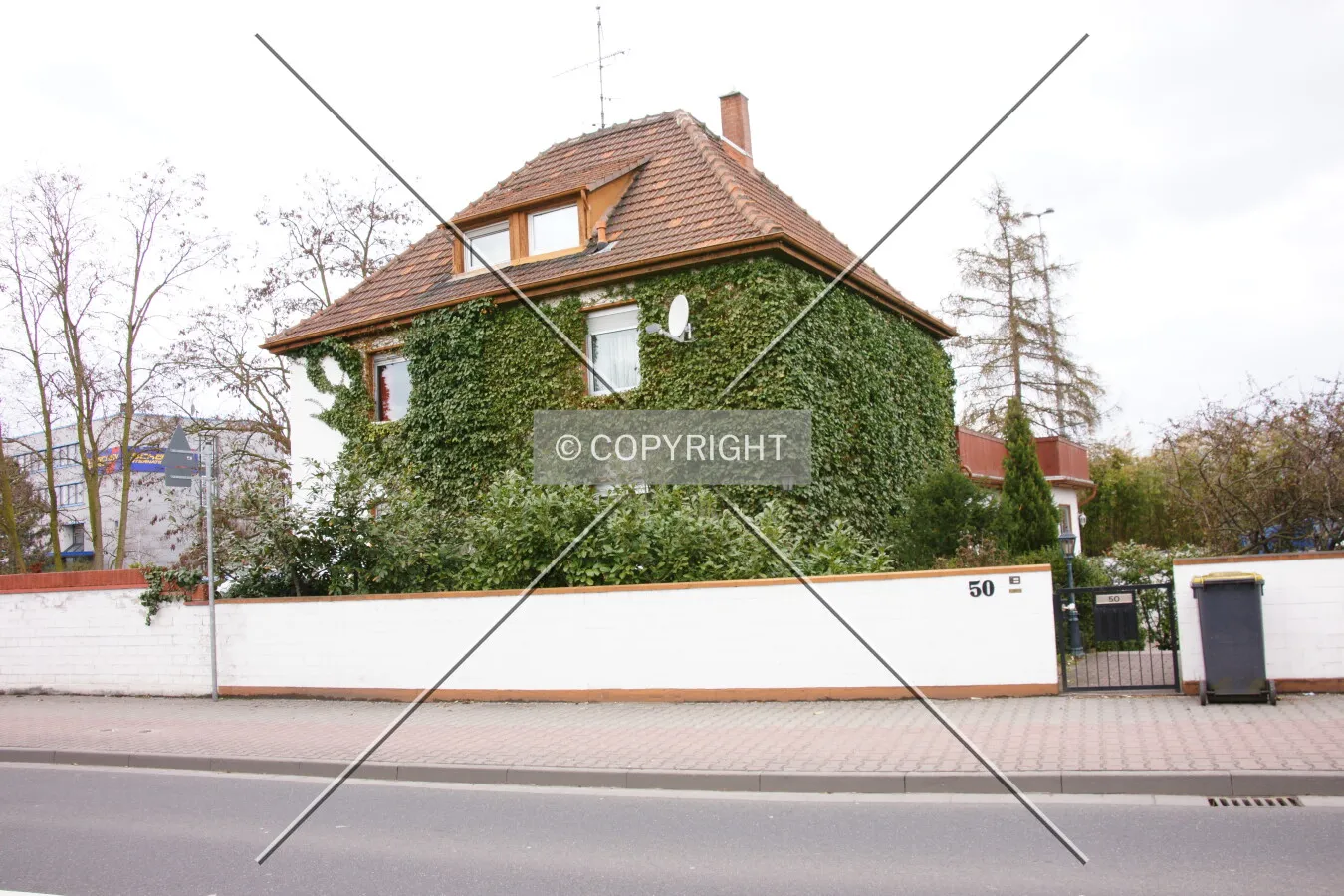 Photo 756-285-245
