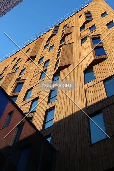 Photo 756-339-775