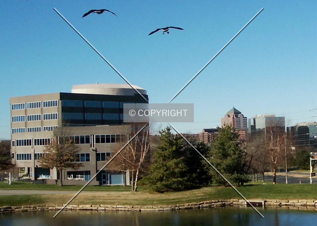 College Boulevard skyline