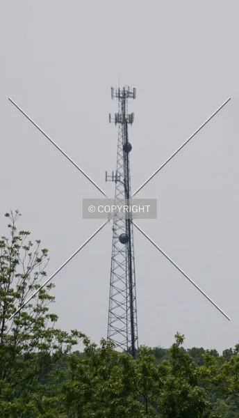 Photo 075-652-289
